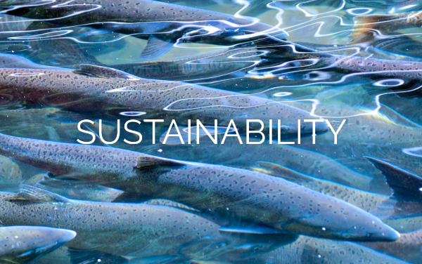 Food sustainability