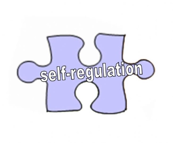 Motivation Monday - Self Regulation