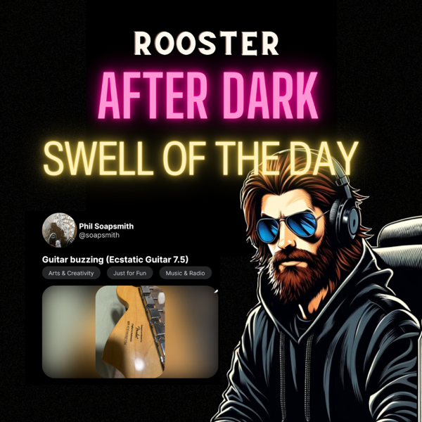 Rooster After Dark: SWELL OF THE DAY! | Follow: Phil S @soapsmith on SwellCast| #SwellCast #SwellCasterAppreciation #RoosterAfterDark #TRCS