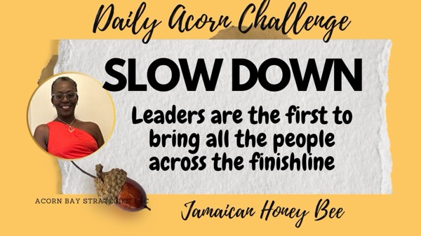 #TheDailyAcornChallenge - SLOW DOWN Catch the blooming!