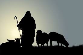 Following the Good Shepherd Part 1