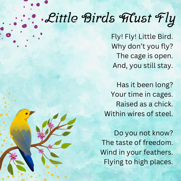 Poem: Little Birds must Fly