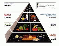 The Problem With the FOOD Pyramid and Why It’s Being Abandoned 😭FATS Is Not Your Enemy( Kind Of)