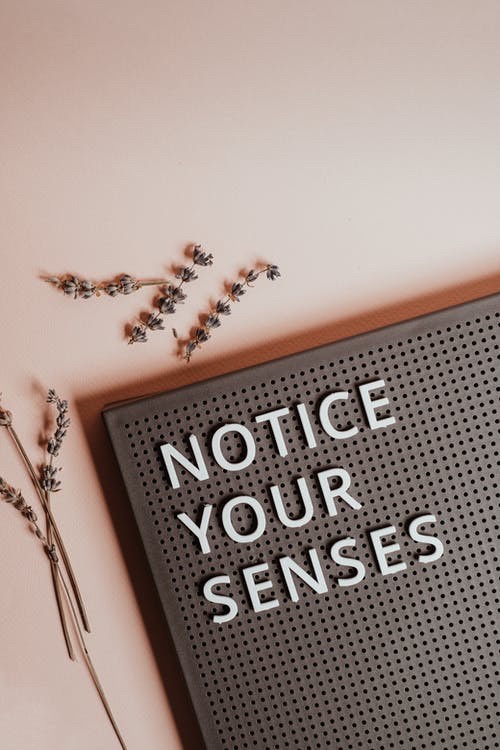 Challenging you to stop feeding your 5 senses and evolve.