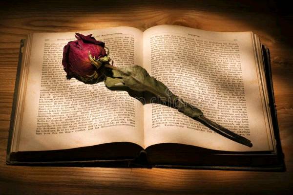 " गुलाब और किताब "