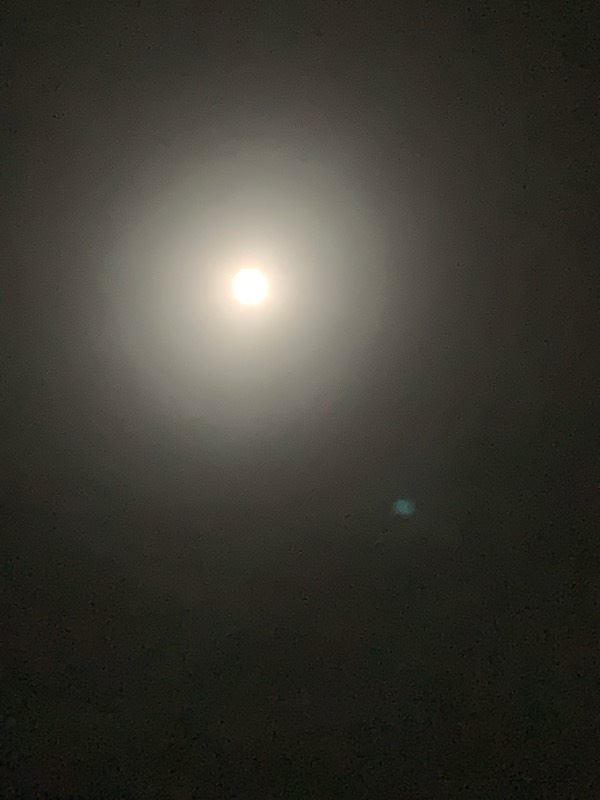 @Astroality | Leo Full Moon:: What do you want? 🎙️🤍