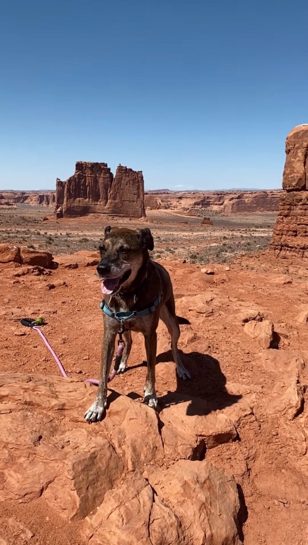 Me & My Dog at Arches National Park