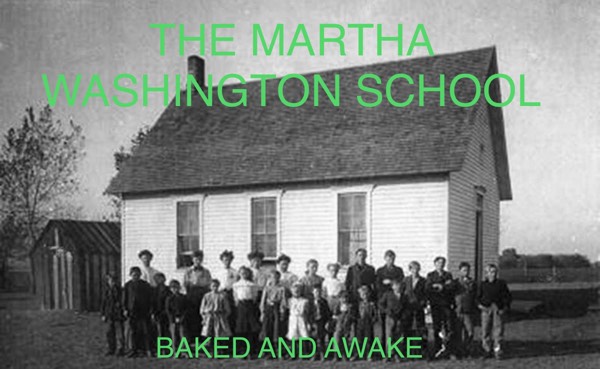 The Martha Washington School for Insane Girls