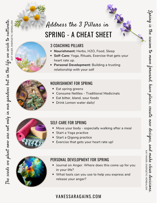 #Spring Cheat Sheet! 🌼