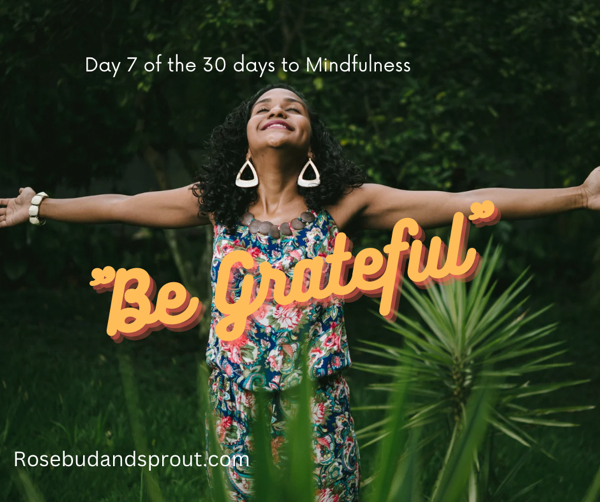 "Gratitude" Day 7, 30 day of mindfulness