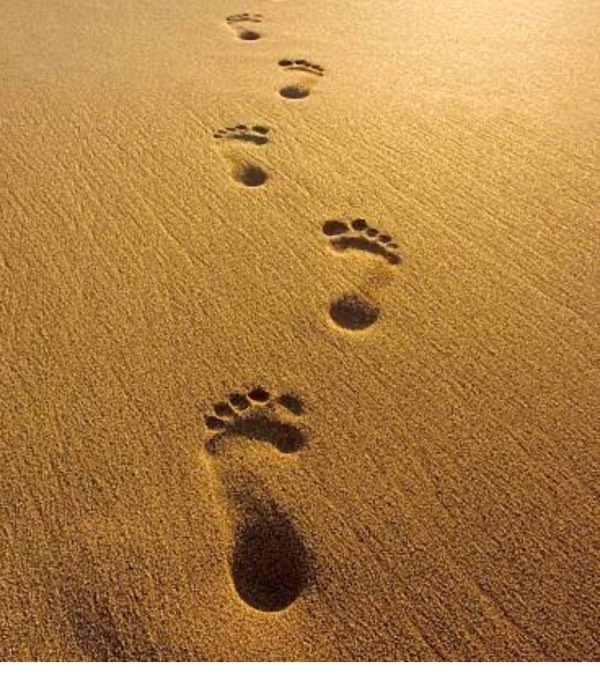 Footprints - A poem