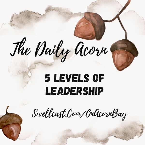 #TheDailyAcorn. How does Leadership work? 5 Levels of Leadership.