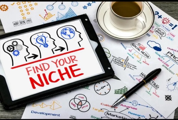 #TheDailyAcorn - Finding Your Niche and Beginning to Grow: Transitional Plans and Timelines.