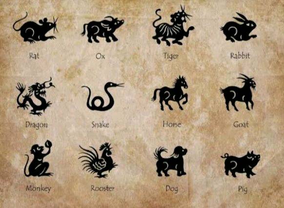 What is your birth animal🐯🐰?