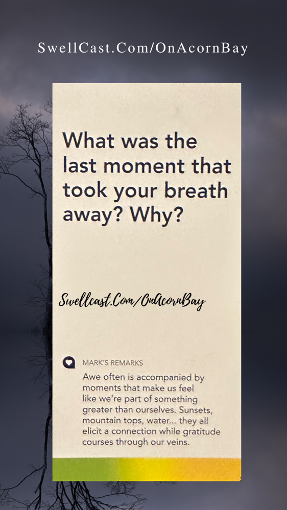 #AcornChallenge What was the last moment that took your breath away? Why?