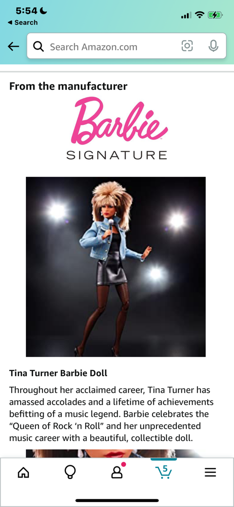 Tina Turner Barbie Doll is sold out everywhere