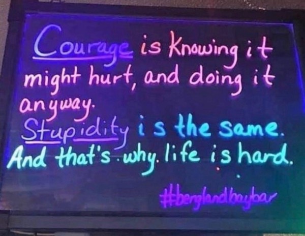 Are Courage and Stupidity the same?