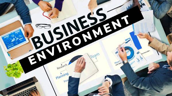 What is Business Environment??