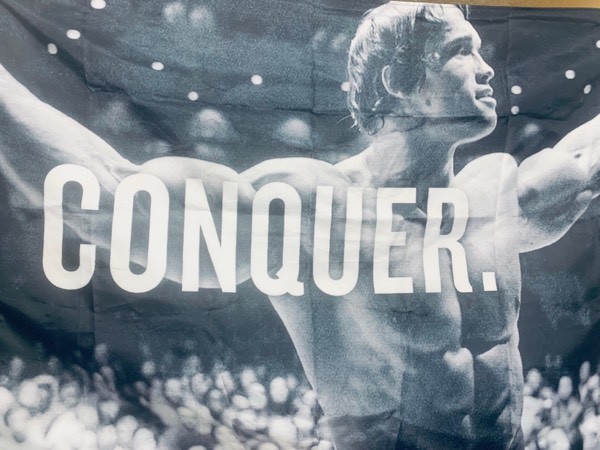 What does A COMEBACK really mean? Surrender or Conquer?