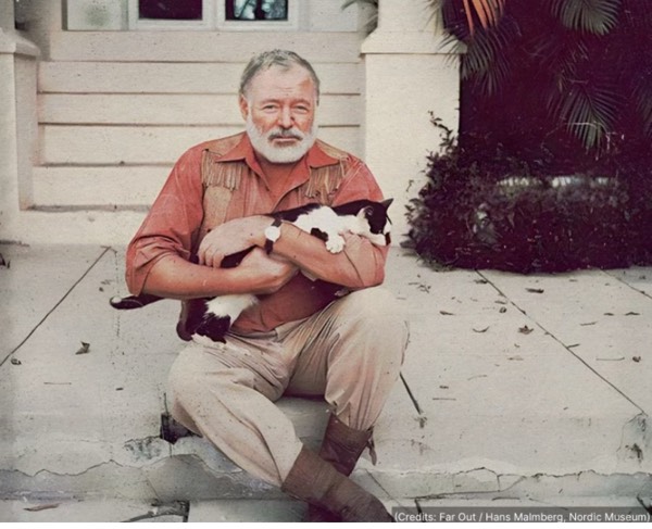 What books did Hemingway read?