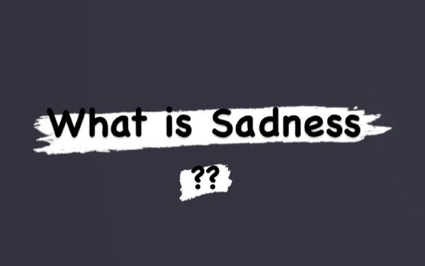What is sadness?