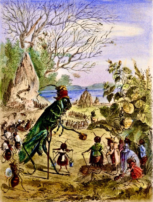Aesop’s Fables: the ant and the grasshopper