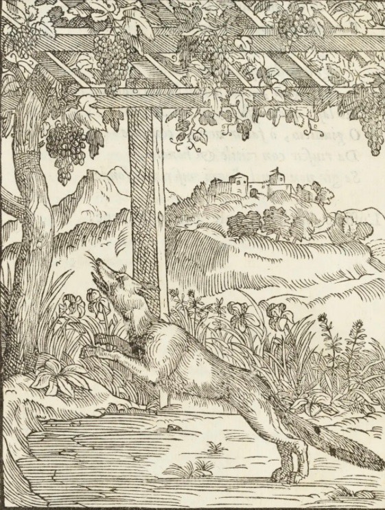 Aesop’s Fables the Fox and the Grapes
