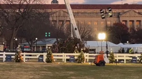 White House Christmas Tree Topples Diwn