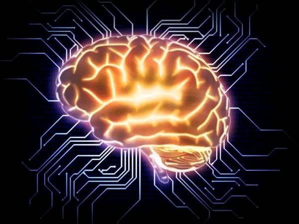AI Supercomputers Powered by Human Brain Cells