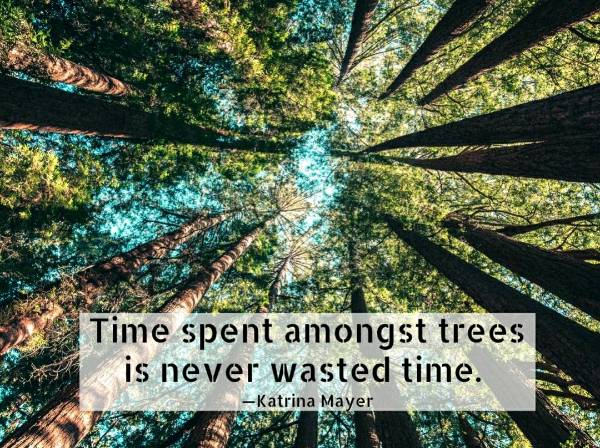 Time spent amongst trees is never wasted time.🌿