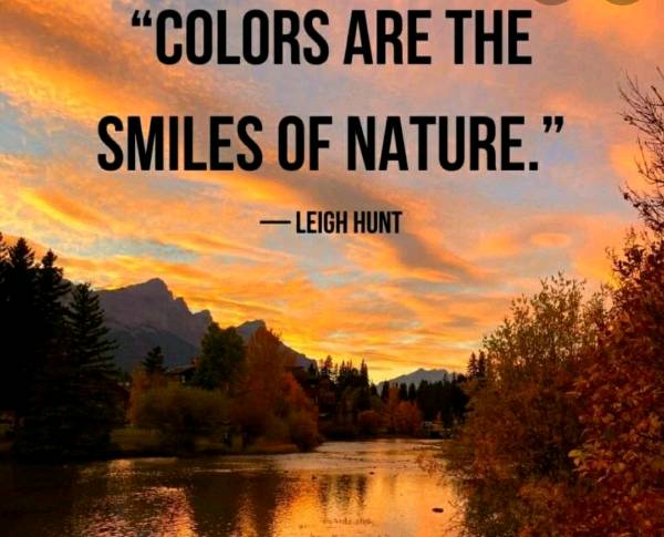 The Colors of Nature.💚💛