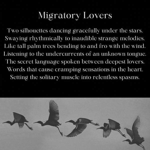 Migratory Lovers