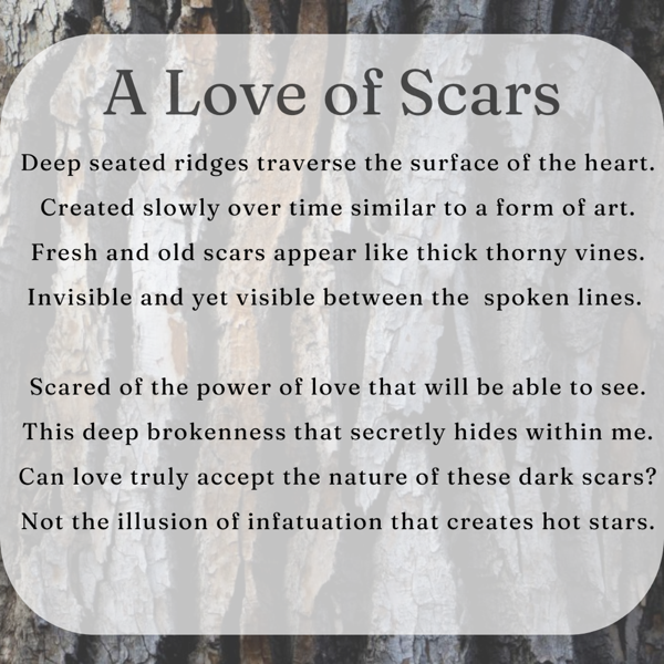 A Love of Scars